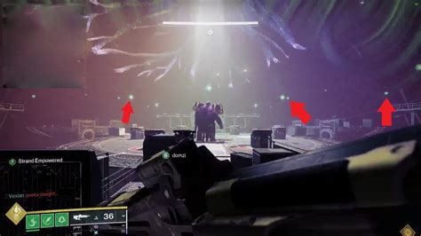 Light Fall Calus に対する画像結果