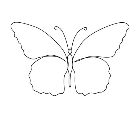 Image result for Small Butterfly Line Drawing