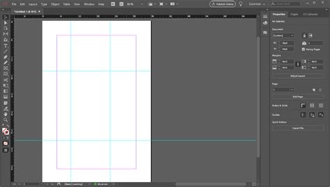 Image result for InDesign Adobe Margins