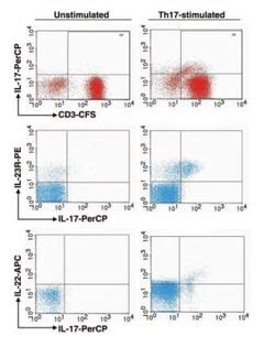 Image result for Flow Cytometry Sample Preparation
