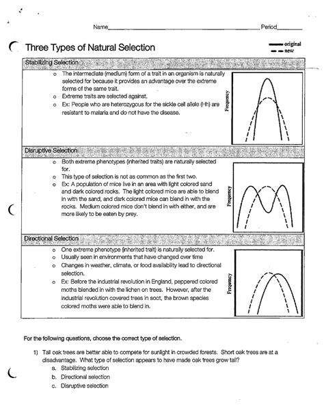 Evolution and Selection POGIL Answer Key に対する画像結果