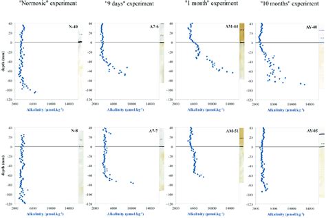 Toradh íomhá ar Alkalinity Probes