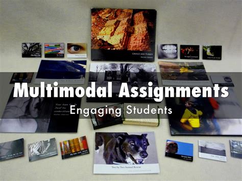 Multimodal Profile Assignment Sheet Example に対する画像結果