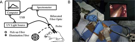 Image result for Diffuse Reflectance Spectroscopy System Assembly