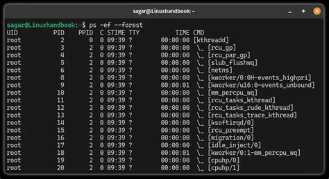 Toradh íomhá ar Process Tree Linux