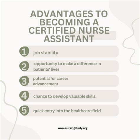 Image result for Nursing Assistant Skills