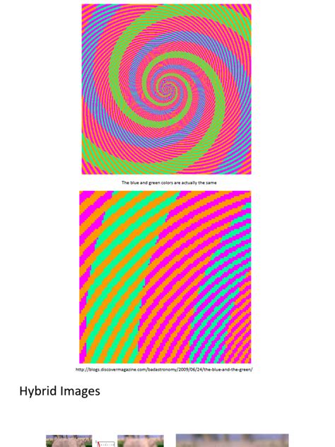 Image result for Zeiss Gaussin Filters