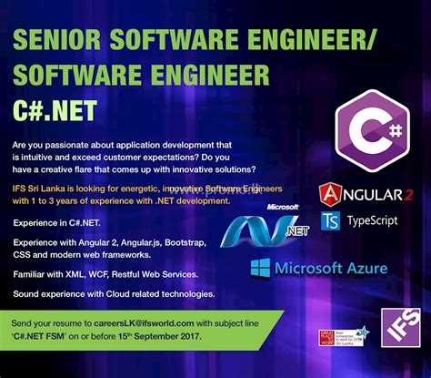 Image result for Software Engineer Programmers .Net
