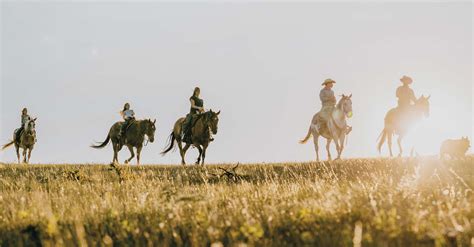 Afbeeldingsresultaten voor Sheep Cattle in Field