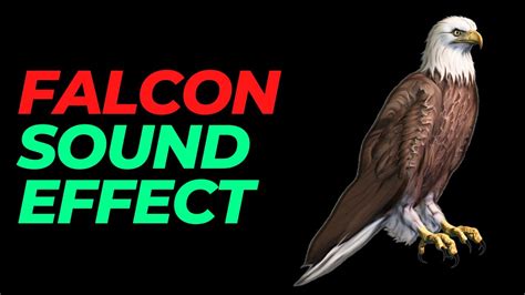 Image result for Falcon Call Sound