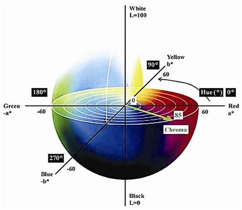Color Coordinate Table に対する画像結果