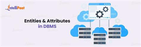 Image result for SQL Attributes