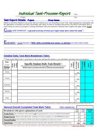 Image result for Task Report Sample