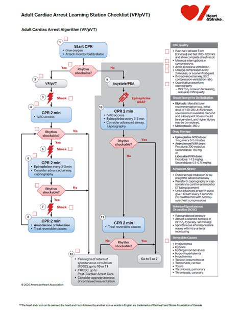 Afbeeldingsresultaten voor ACLS Pea Algorithm