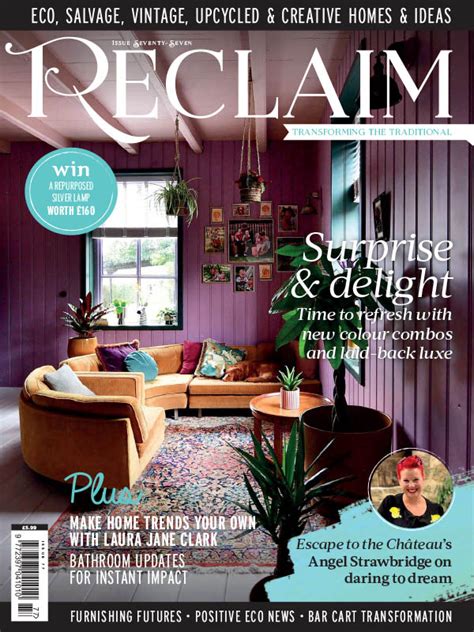 Toradh íomhá ar Reclaim Back Issues
