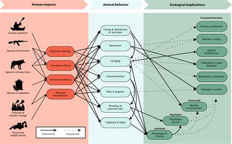 Behaviours Evolution Graph に対する画像結果