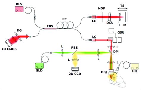 Image result for Halogen Array Imaging