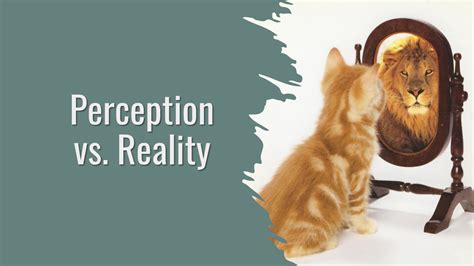 Image result for Science Perception Reality