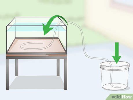 Afbeeldingsresultaten voor How to Siphon Water by Mouth