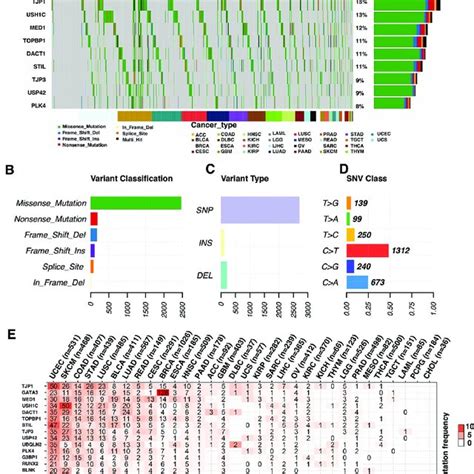 Protein Coding Genes Elements に対する画像結果