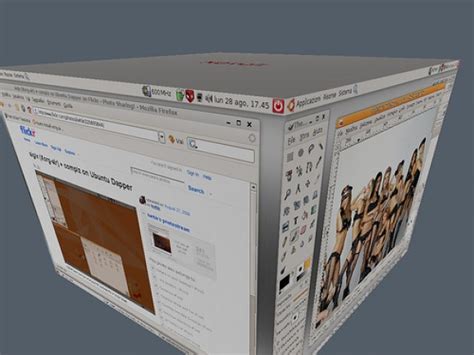 Image result for Which Linux Distro Works Better with Compiz