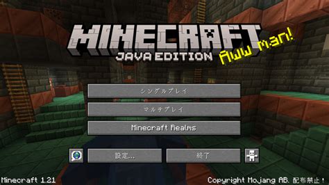 Mine Java に対する画像結果