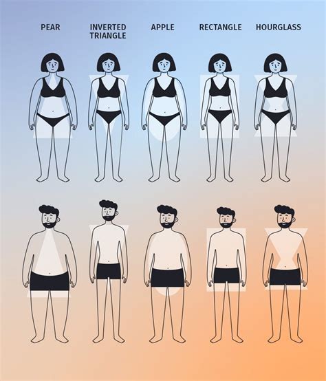 Fair Body Type に対する画像結果