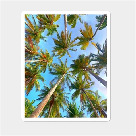 Image result for Palm Tree Canvas Stickers