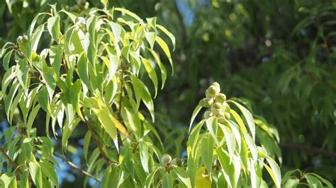 VBA Open File in Folder に対する画像結果