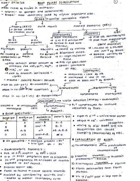 Toradh íomhá ar JavaScript Short Notes PDF