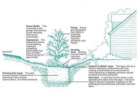 Toradh íomhá ar Rain Garden Guide
