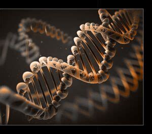 Afbeeldingsresultaten voor Tiger Gene Python