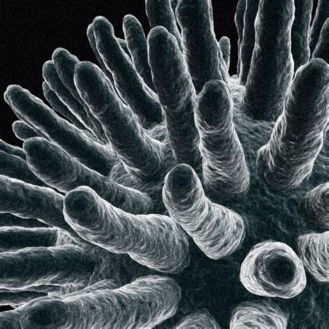 Bildergebnis für Virus Microscope Model