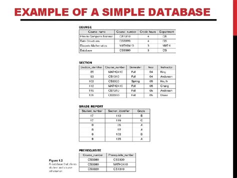 Image result for Sample Information System with Database