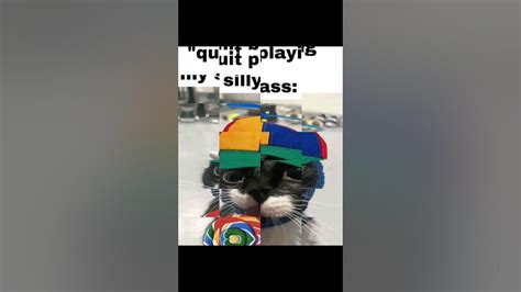 Image result for Cat Brain Processing Meme
