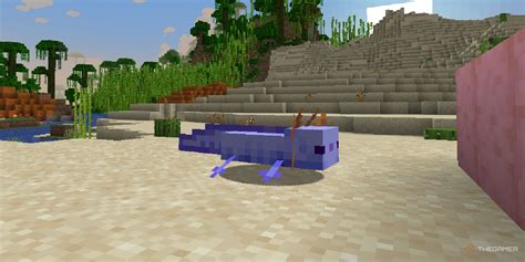 Afbeeldingsresultaten voor Rarest Axolotl Minecraft