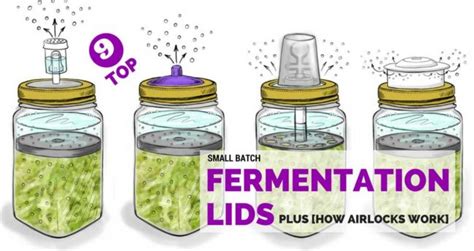 Image result for How to Use Fermentation Lids
