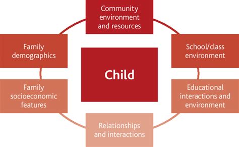 Image result for Classification Background
