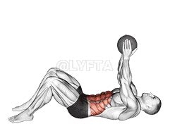 Image result for Modifed Crunch Ball