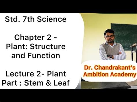 Image result for Science STD 7 CHP 2 Plants Structure