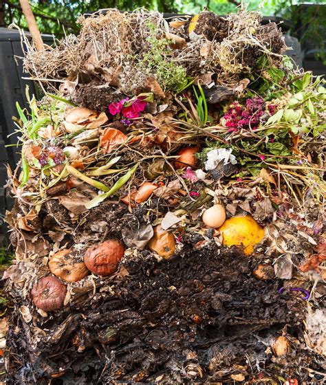 Image result for Compost Toilet Genoemd