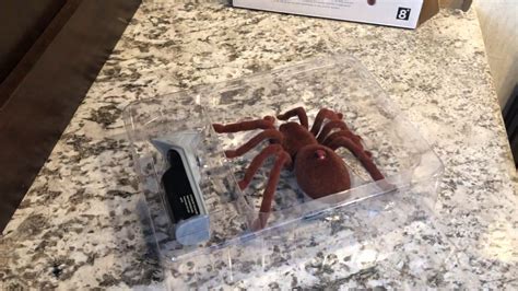 Small Remote Control Spider に対する画像結果
