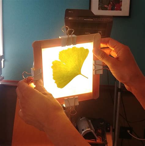 Image result for Observation Machine Screen