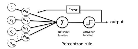 Image result for Explain Perceptron Learning Rule