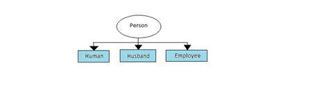 Toradh íomhá ar Polymorphism in Java Real-World Examples