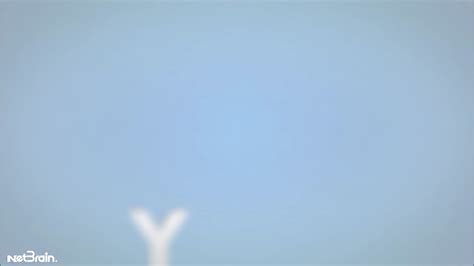 NetBrain Automation Network に対する画像結果