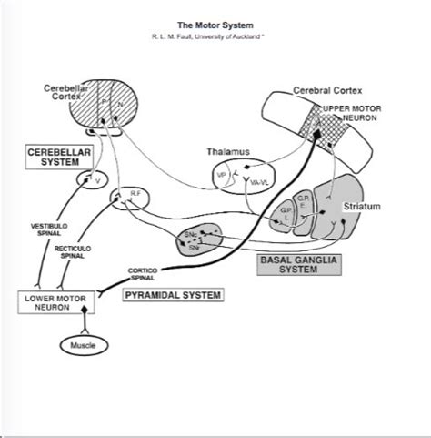 Image result for Sequence Diagram for Parkinson Disease