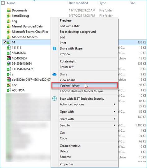 Image result for One Version of a File