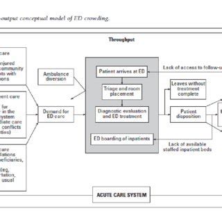 Image result for Input Throughput Output Model Jan Eppink