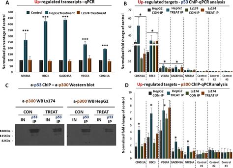 Image result for qPCR Transcriptomics